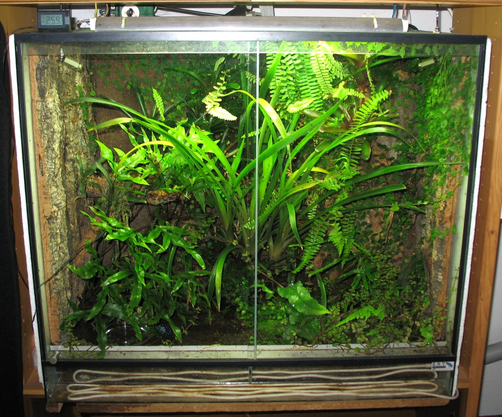 Pelajar Politeknik Jeli jadikan terarium bisnes kecil