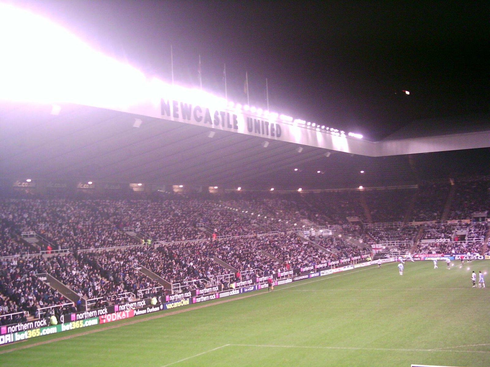 Newcastle appoint Jaissle as new head coach after Howe exit