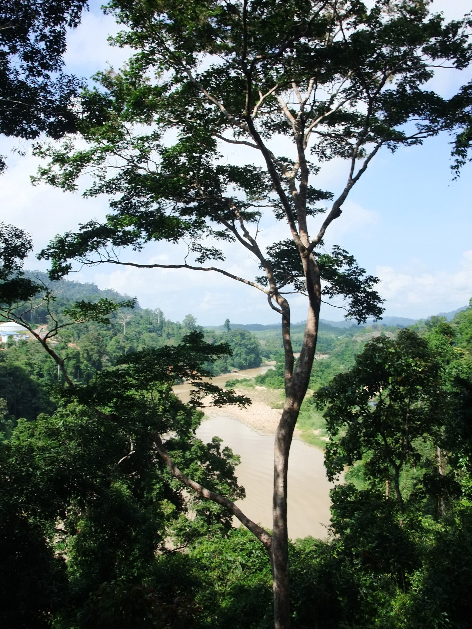 Pempengaruh dakwa rugi RM3,450 selepas trip memancing di Taman Negara lebur