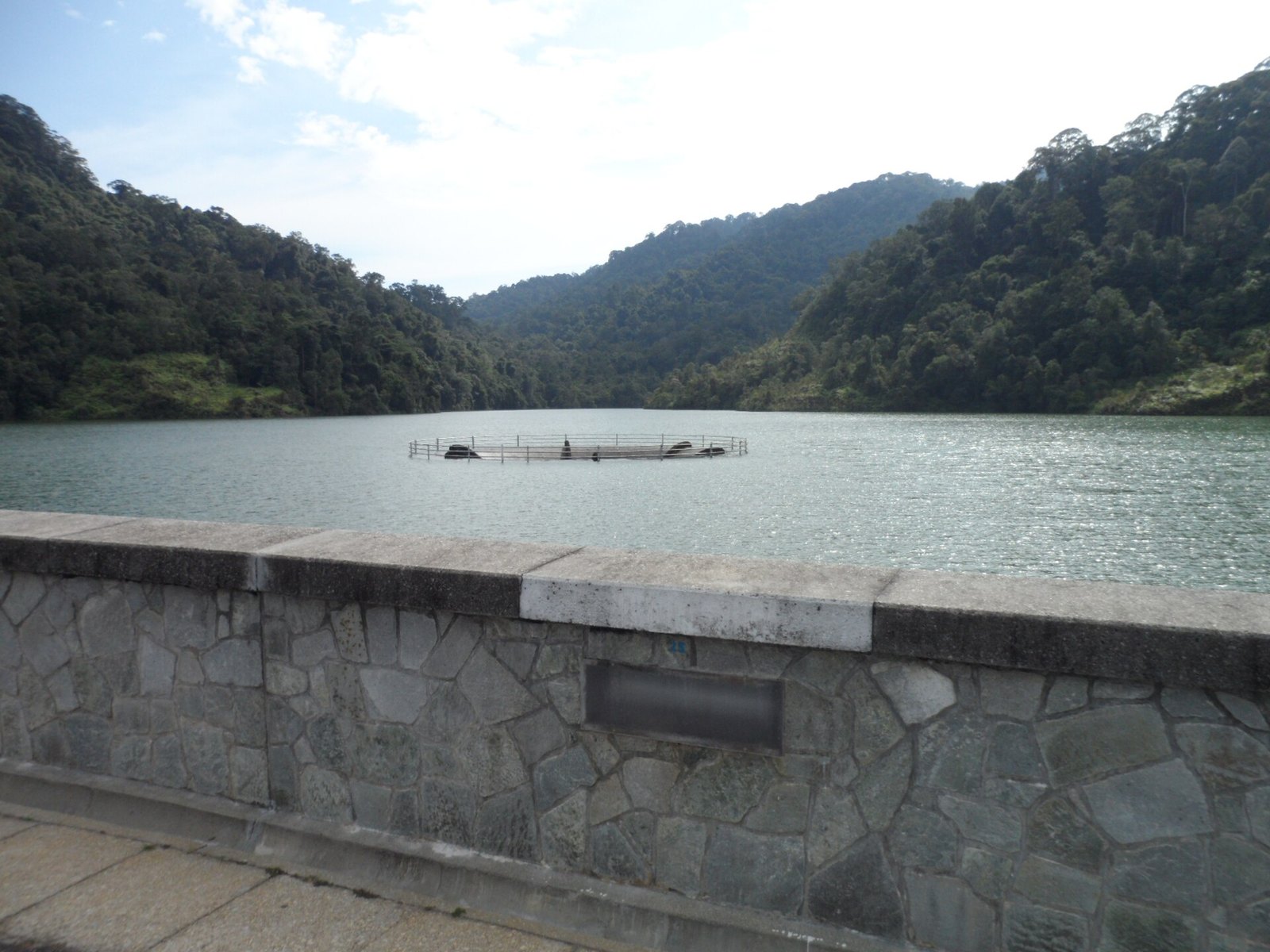 Pengasas Escape bantu murid SJK(C) Sin Kang belajar berenang, berbasikal