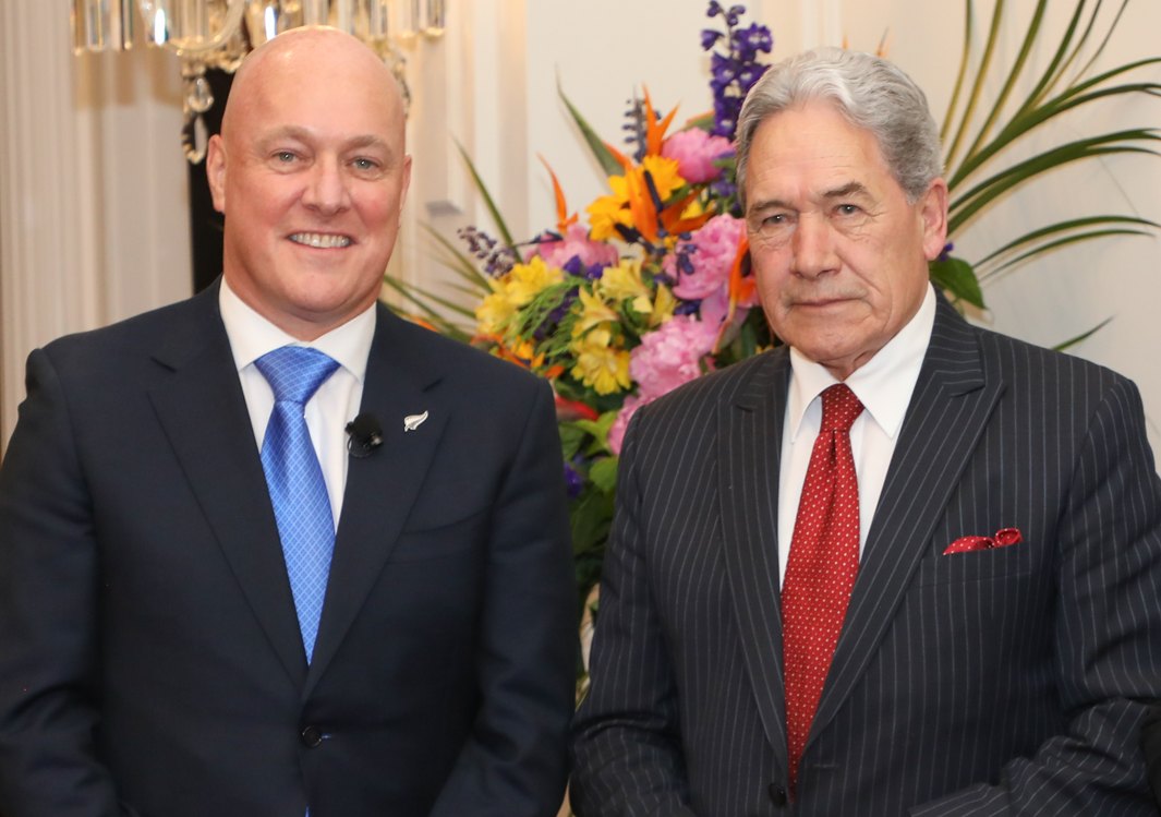 New Zealand PM Luxon open to referendum on electoral system
