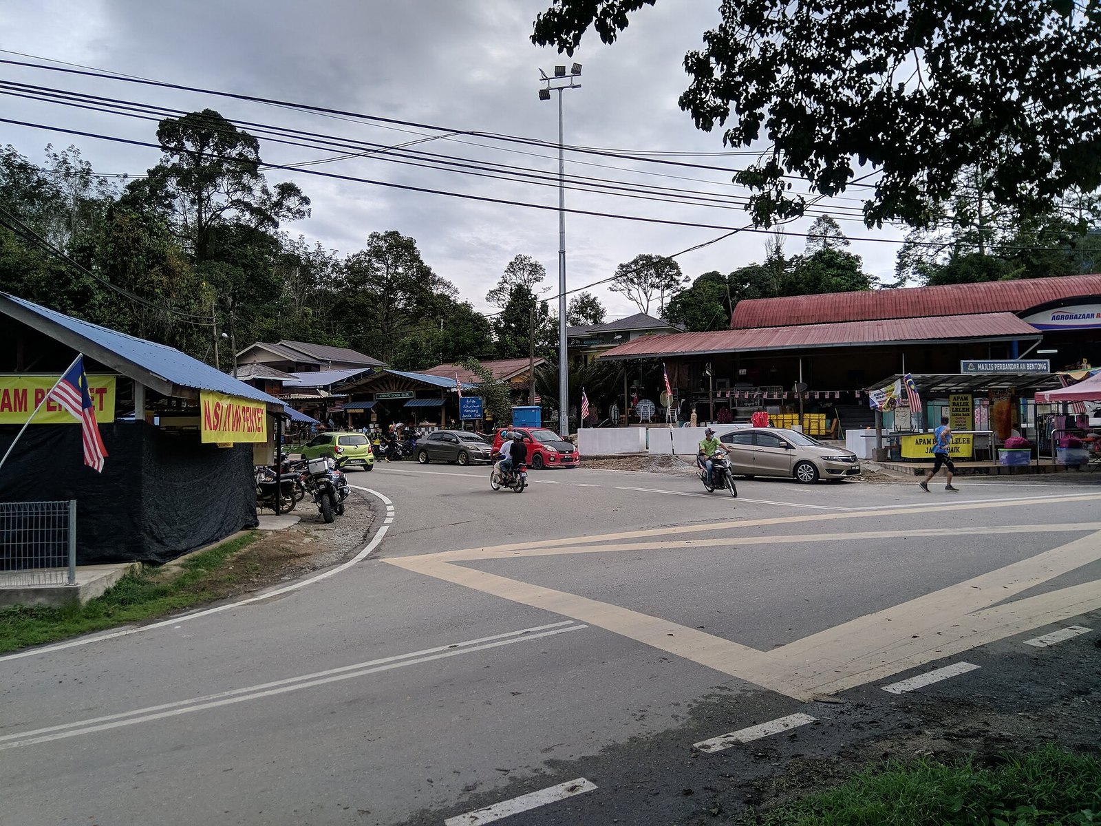 Saksi kongsi detik cemas pokok tumbang ragut empat nyawa di Jalan Lama KL-Bentong