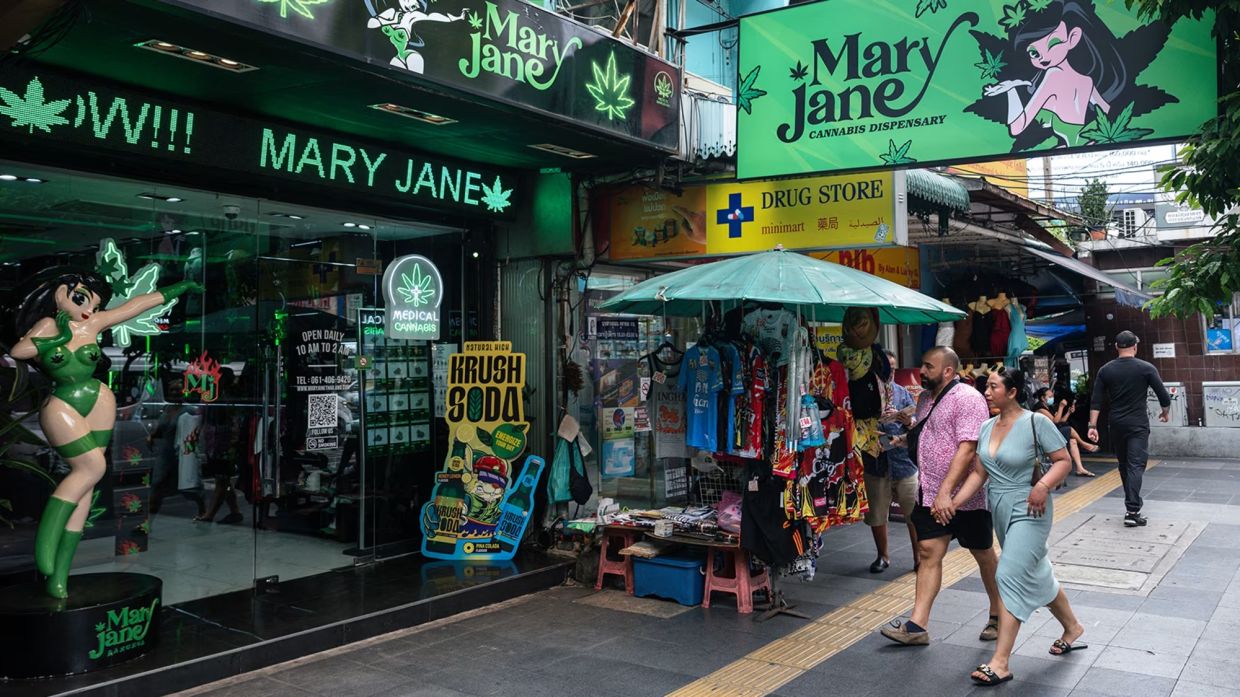 Thailand faces cannabis crossroads as regulators weigh public health against economic interests