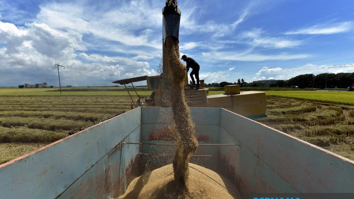 Dewan Rakyat Passes Control of Padi and Rice (Amendment) Bill 2026