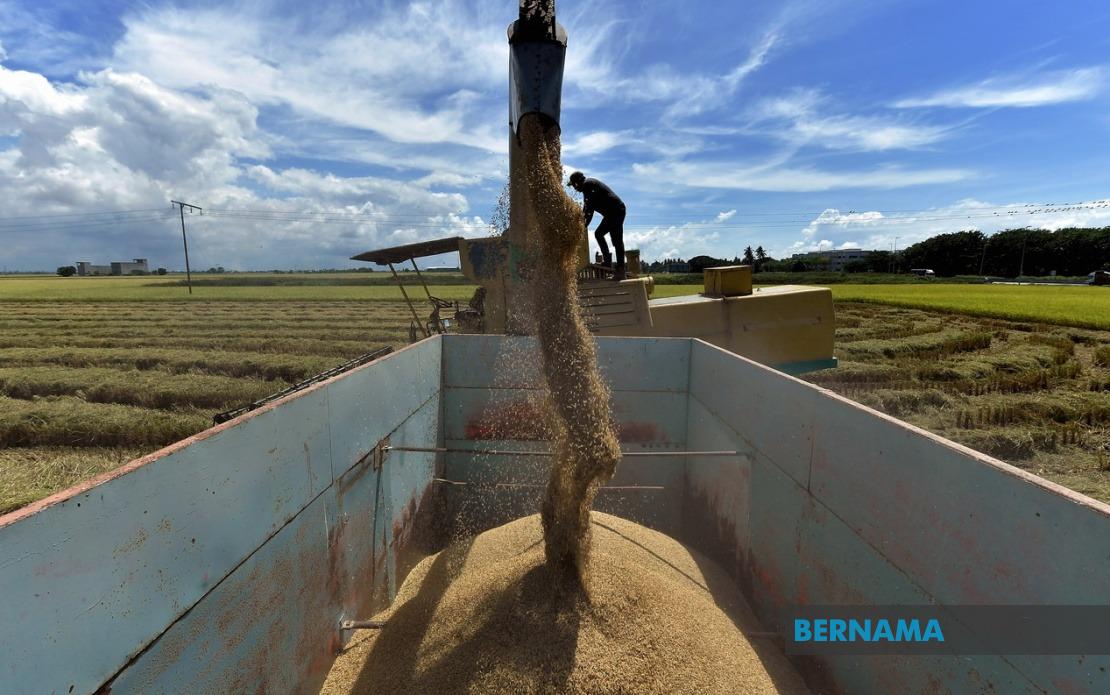 Dewan Rakyat Passes Control of Padi and Rice (Amendment) Bill 2026