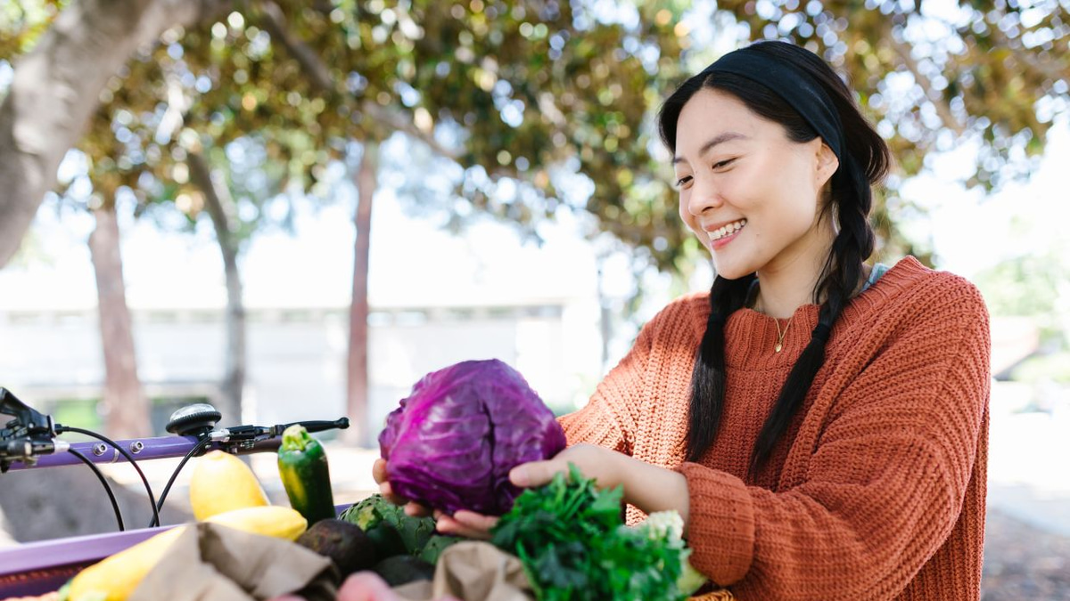 How Your Gut Microbiome Shapes Your Immune Defence and Overall Health