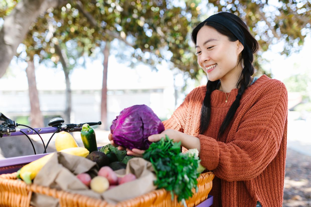 How Your Gut Microbiome Shapes Your Immune Defence and Overall Health