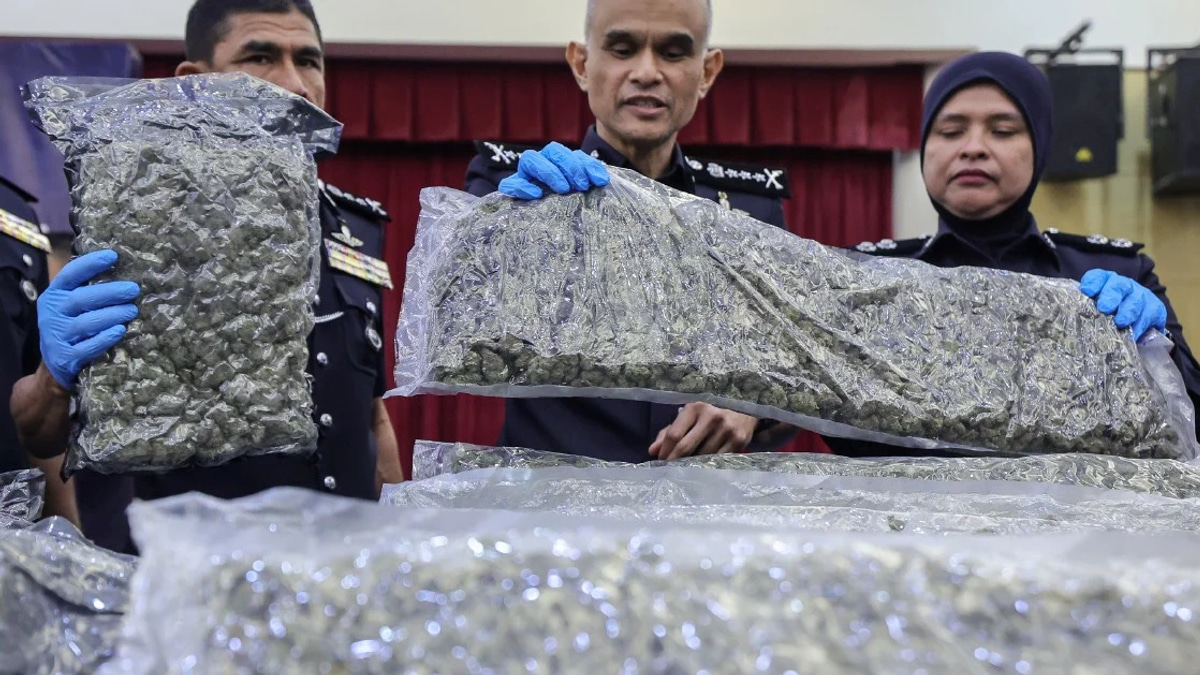 Police bust major cannabis ring at KLIA, seizing 650kg and arresting 38 suspects