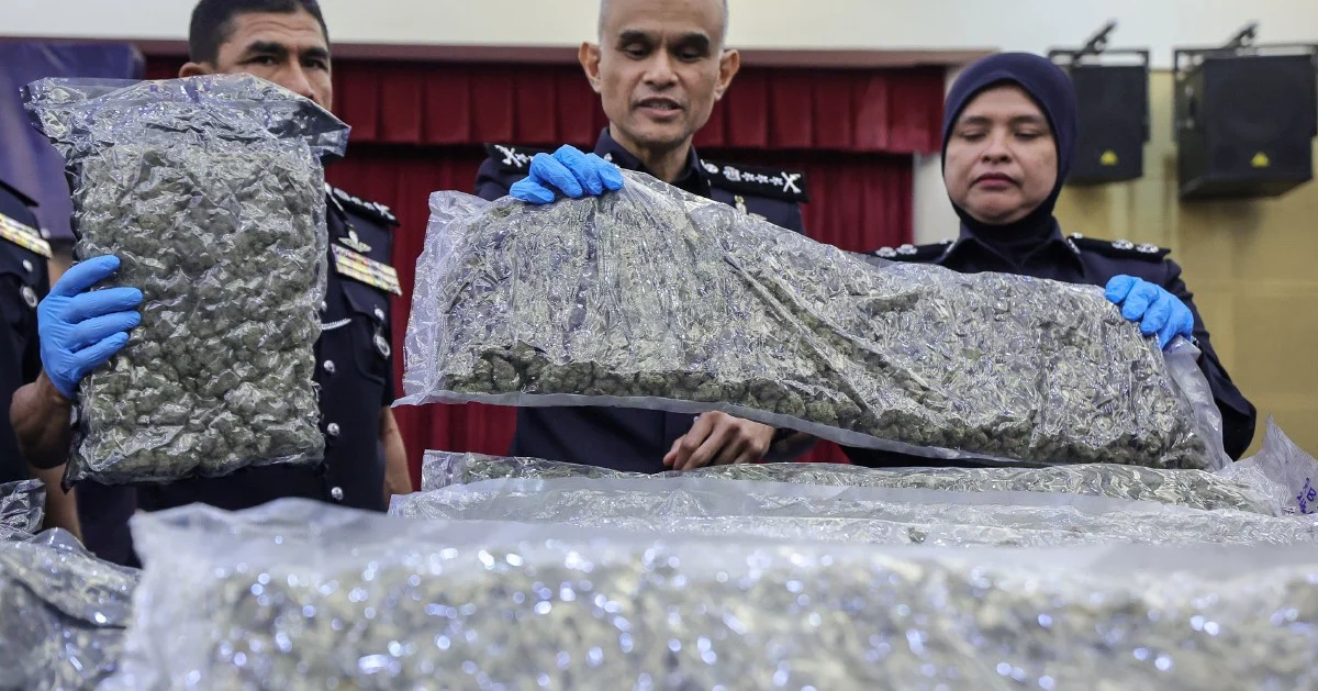 Police bust major cannabis ring at KLIA, seizing 650kg and arresting 38 suspects