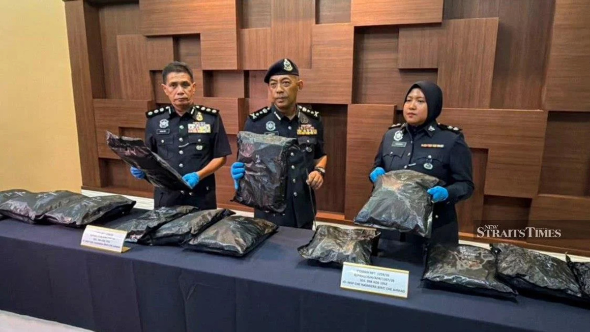 Student Arrested With RM1.17mil Cannabis Haul at Bukit Kayu Hitam