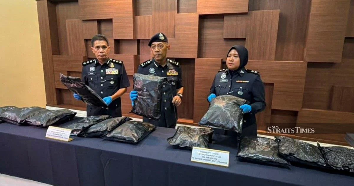Student Arrested With RM1.17mil Cannabis Haul at Bukit Kayu Hitam