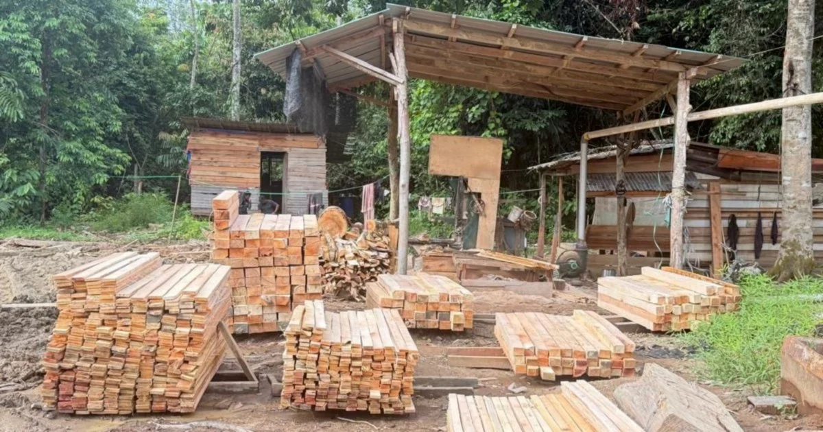 Five arrested as authorities crack down on illegal Gua Musang sawmill operation