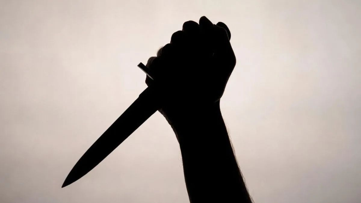 Woman Stabbed in Broad Daylight Attack in Madhya Pradesh; Suspect at Large
