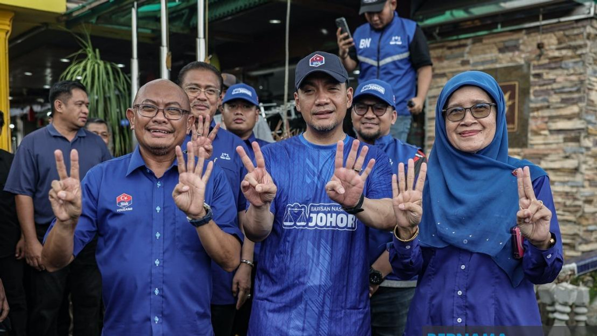 Johor BN's Power-Sharing Model Demands Sacrifice and Loyalty, Says Onn Hafiz