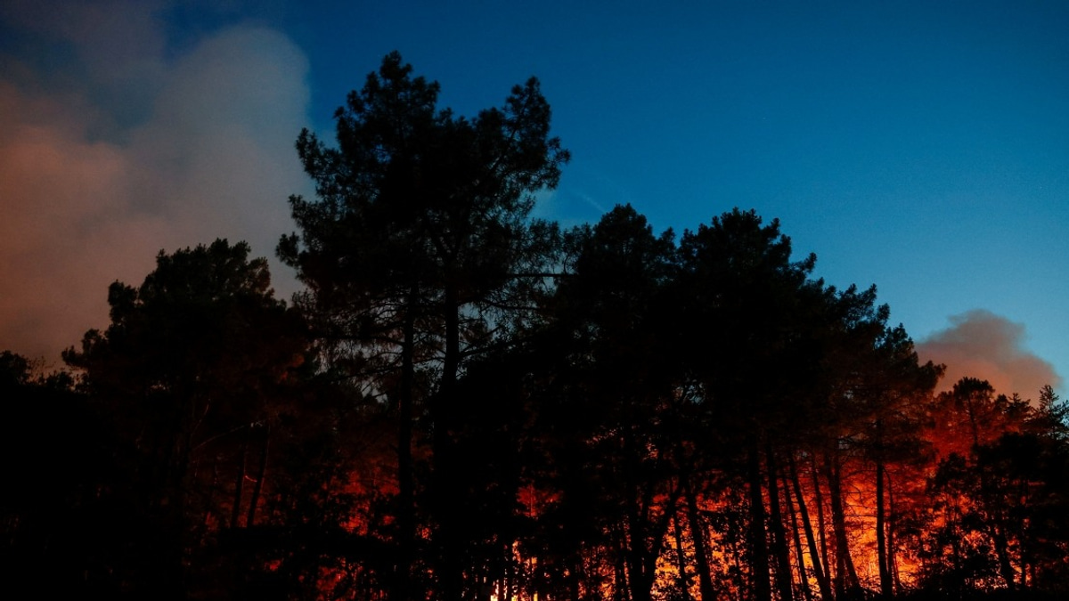 France Battles Historic Wildfire Crisis as 119,000 Hectares Consumed