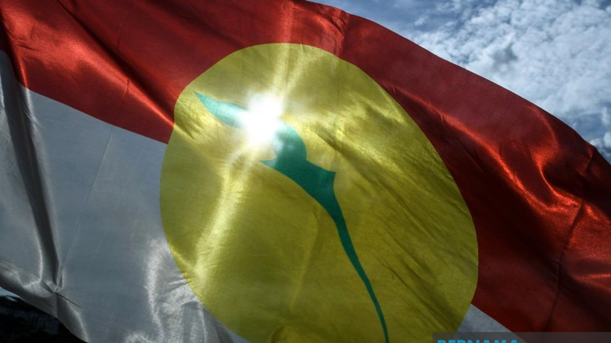 UMNO Members Must Put Party Before Personal Grievance, Says Azalina