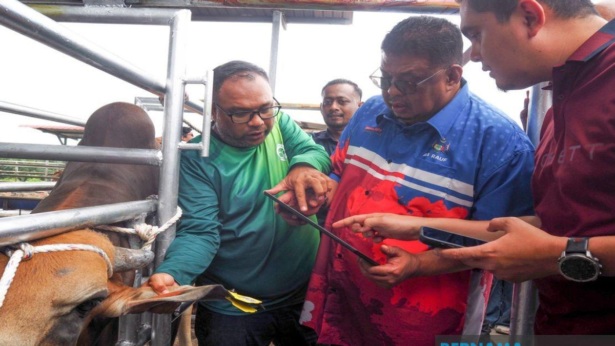 Melaka Deploys QR Tag System to Track Livestock and Reduce Road Safety Hazards